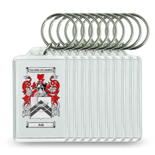 Ash Set of 10 Keychains