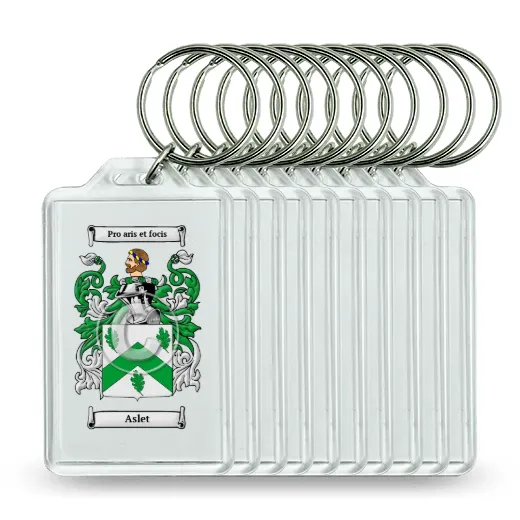 Aslet Set of 10 Keychains