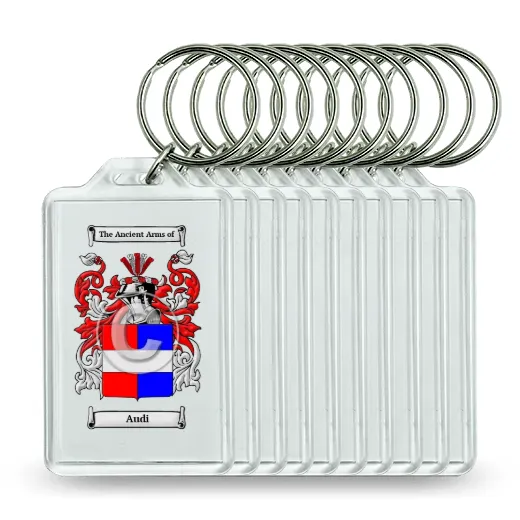 Audi Set of 10 Keychains