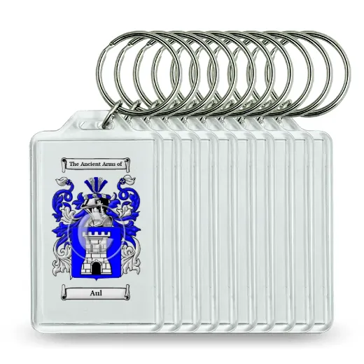 Aul Set of 10 Keychains