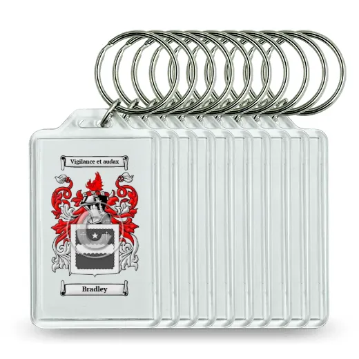 Bradley Set of 10 Keychains