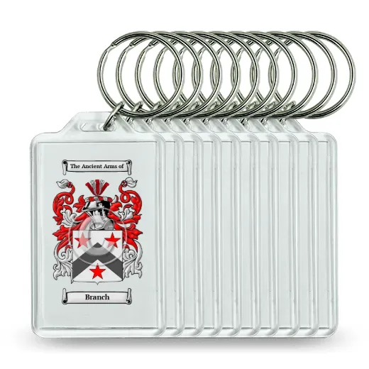 Branch Set of 10 Keychains