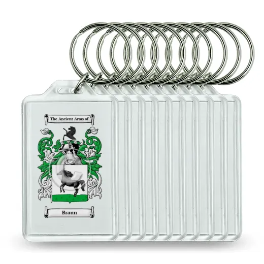 Braun Set of 10 Keychains