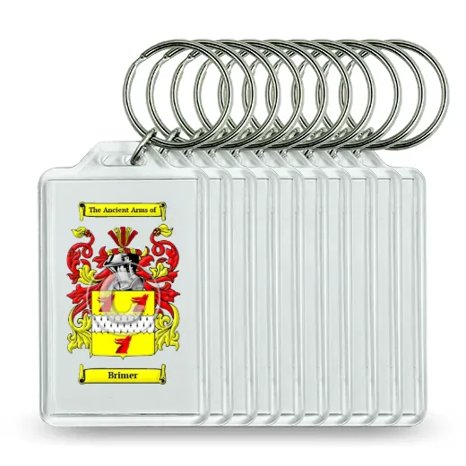 Brimer Set of 10 Keychains