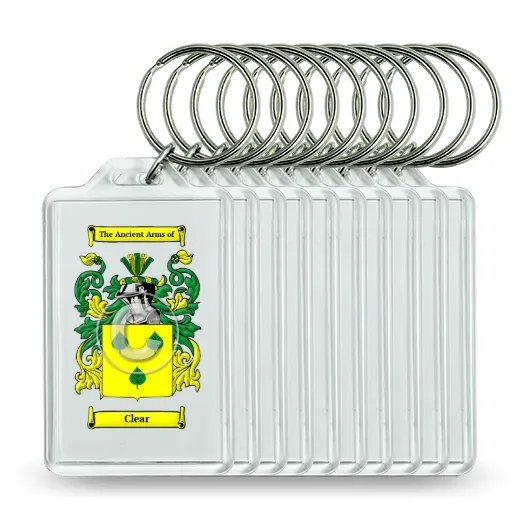 Clear Set of 10 Keychains