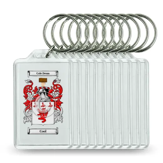 Cool Set of 10 Keychains