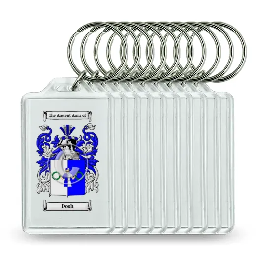 Dosh Set of 10 Keychains