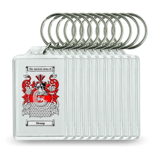 Droop Set of 10 Keychains