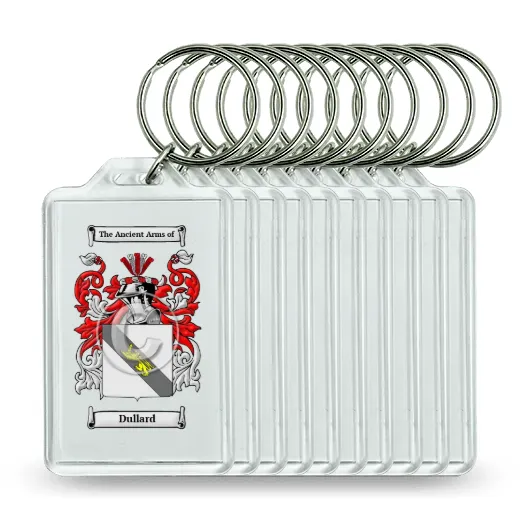 Dullard Set of 10 Keychains