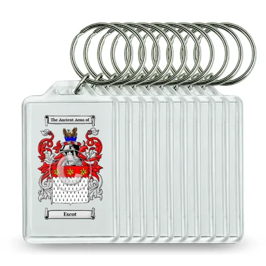 Escot Set of 10 Keychains