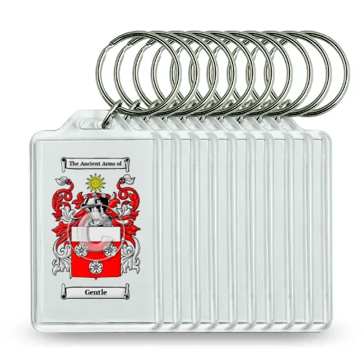 Gentle Set of 10 Keychains