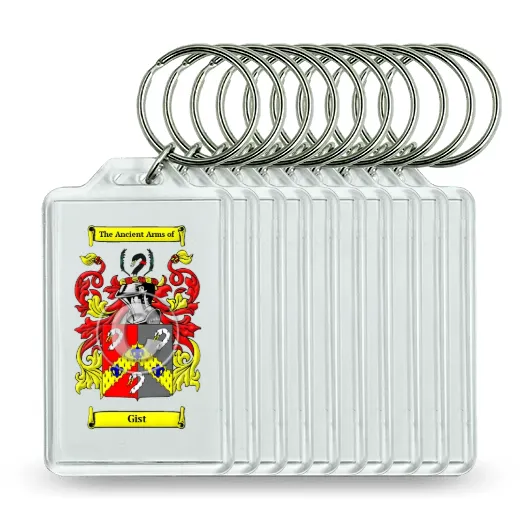 Gist Set of 10 Keychains