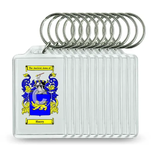 Harry Set of 10 Keychains