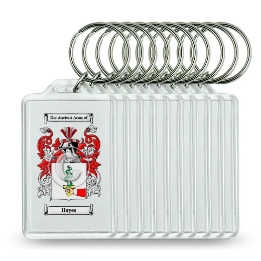 Hayes Set of 10 Keychains