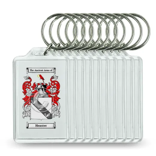 Heaster Set of 10 Keychains