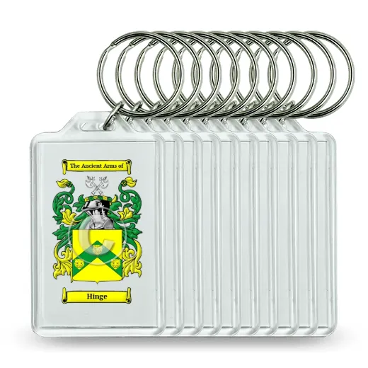 Hinge Set of 10 Keychains