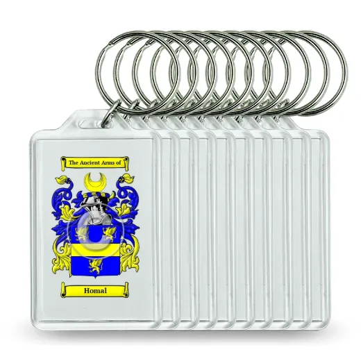 Homal Set of 10 Keychains