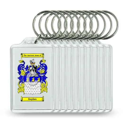 Kaplan Set of 10 Keychains