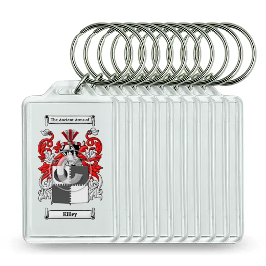 Killey Set of 10 Keychains