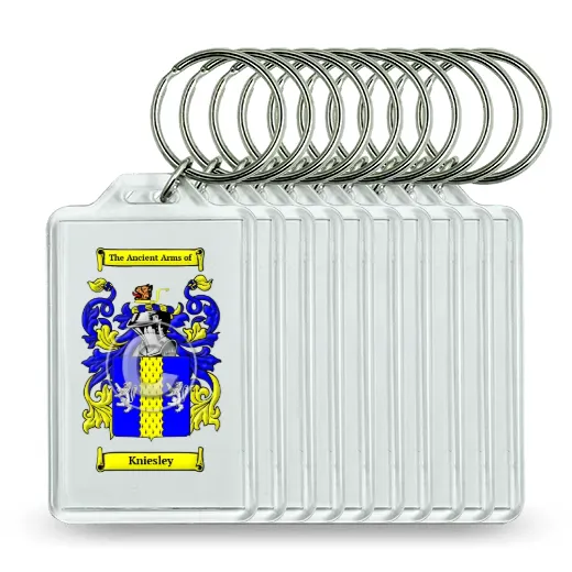 Kniesley Set of 10 Keychains