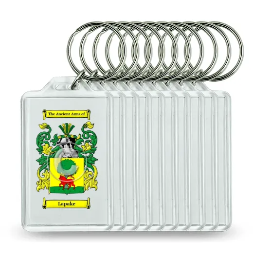 Lapake Set of 10 Keychains