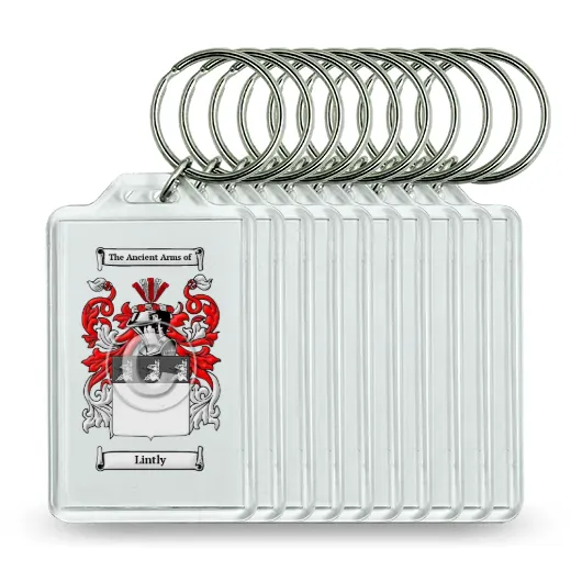 Lintly Set of 10 Keychains