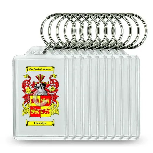 Llewelyn Set of 10 Keychains