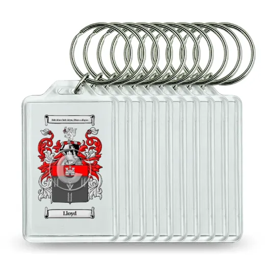 Lloyd Set of 10 Keychains