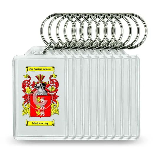 Muldowney Set of 10 Keychains