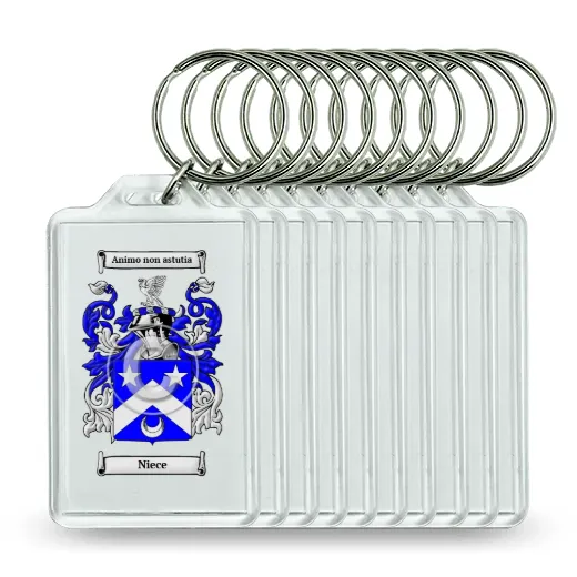 Niece Set of 10 Keychains