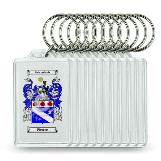 Pietree Set of 10 Keychains