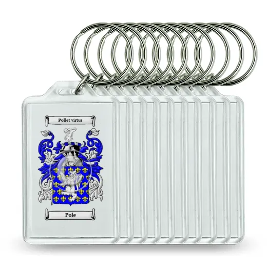 Pole Set of 10 Keychains