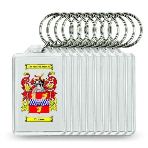 Profane Set of 10 Keychains