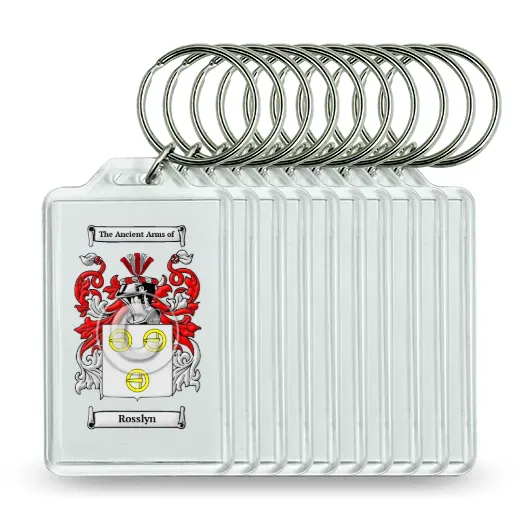 Rosslyn Set of 10 Keychains