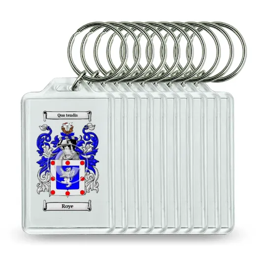 Roye Set of 10 Keychains