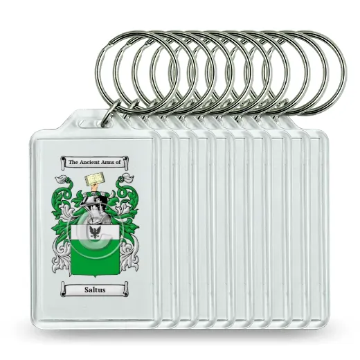 Saltus Set of 10 Keychains