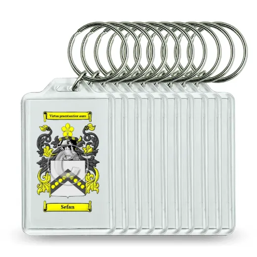 Sefan Set of 10 Keychains