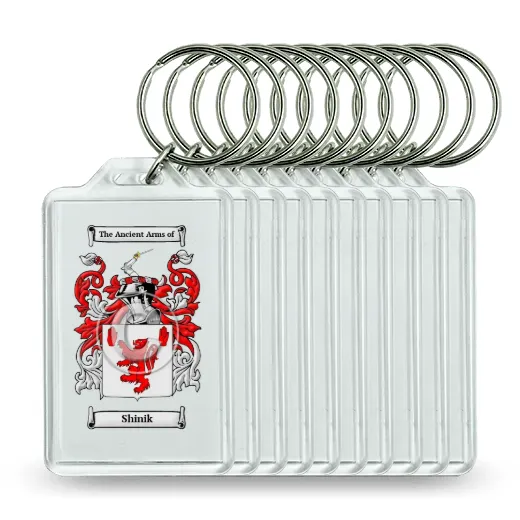 Shinik Set of 10 Keychains