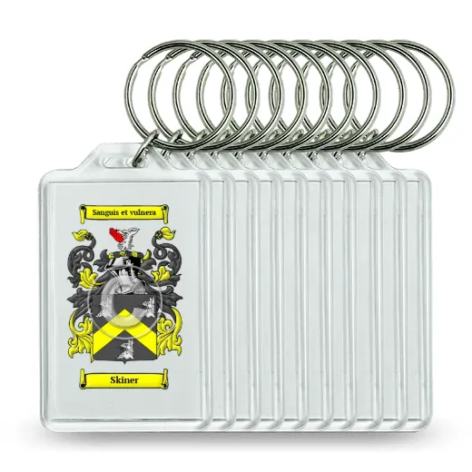 Skiner Set of 10 Keychains