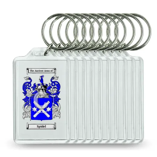 Spidel Set of 10 Keychains