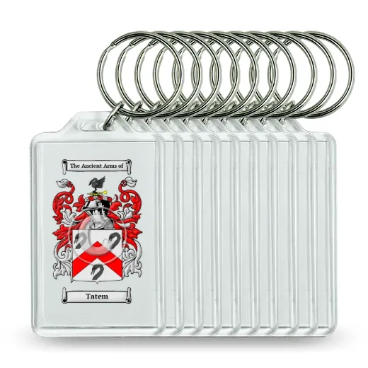 Tatem Set of 10 Keychains