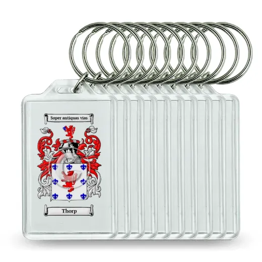 Thorp Set of 10 Keychains