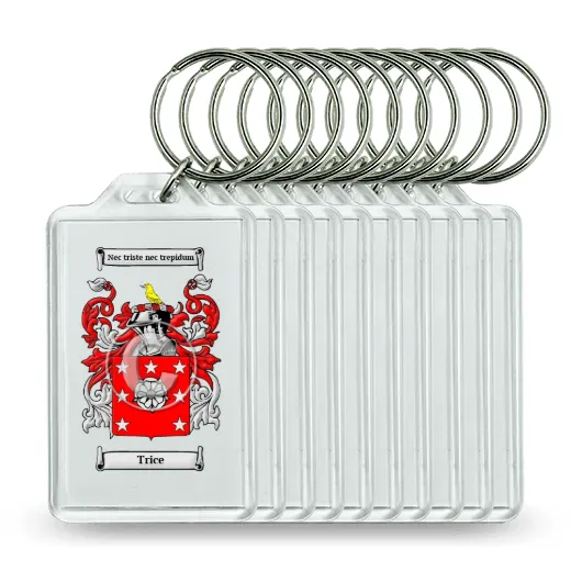 Trice Set of 10 Keychains