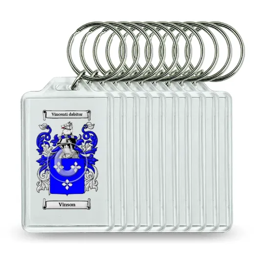 Vinson Set of 10 Keychains