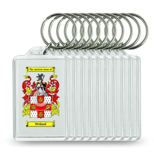 Weland Set of 10 Keychains