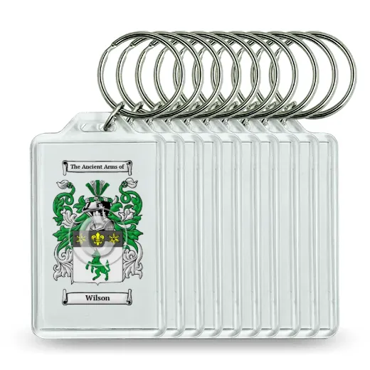 Wilson Set of 10 Keychains