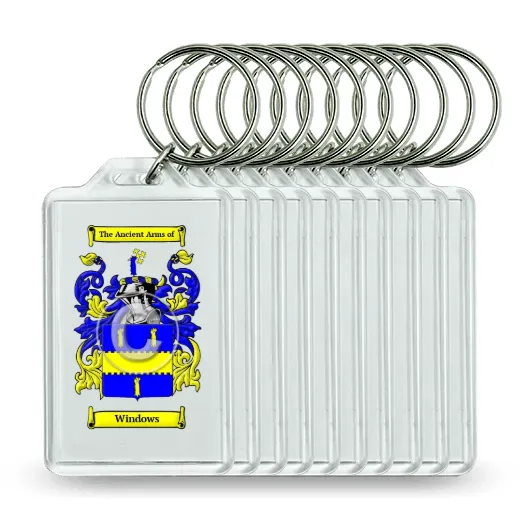 Windows Set of 10 Keychains