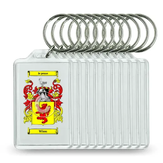 Wion Set of 10 Keychains